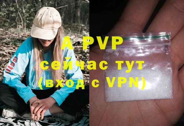 хмурый Вязьма