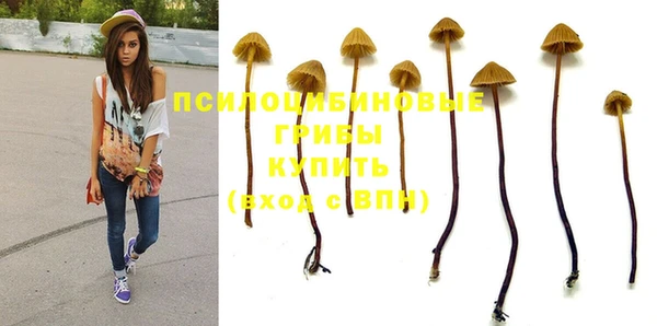 хмурый Вязьма