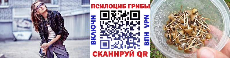 Псилоцибиновые грибы Psilocybe Купить закладки Кувшиново